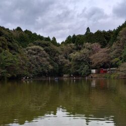意外と難しい ～岡崎トラウトポンド～